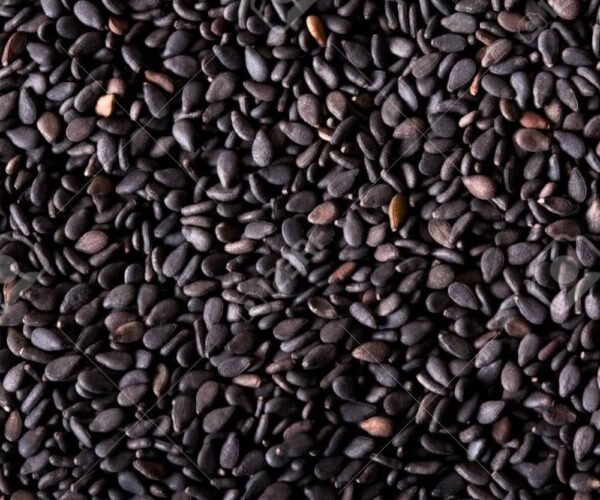 559-sesame-seeds-black-500gms-1690184849