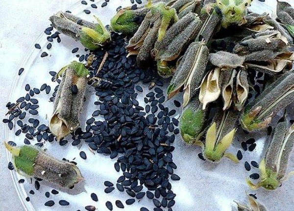black sesame seeds