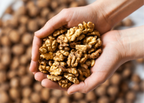 Walnut Benefits for Brain Health